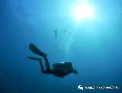 一万年前的“口香糖”讲述了太多故事
